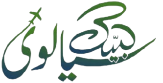 Labbaik Sialvi Travels & Tours Logo
